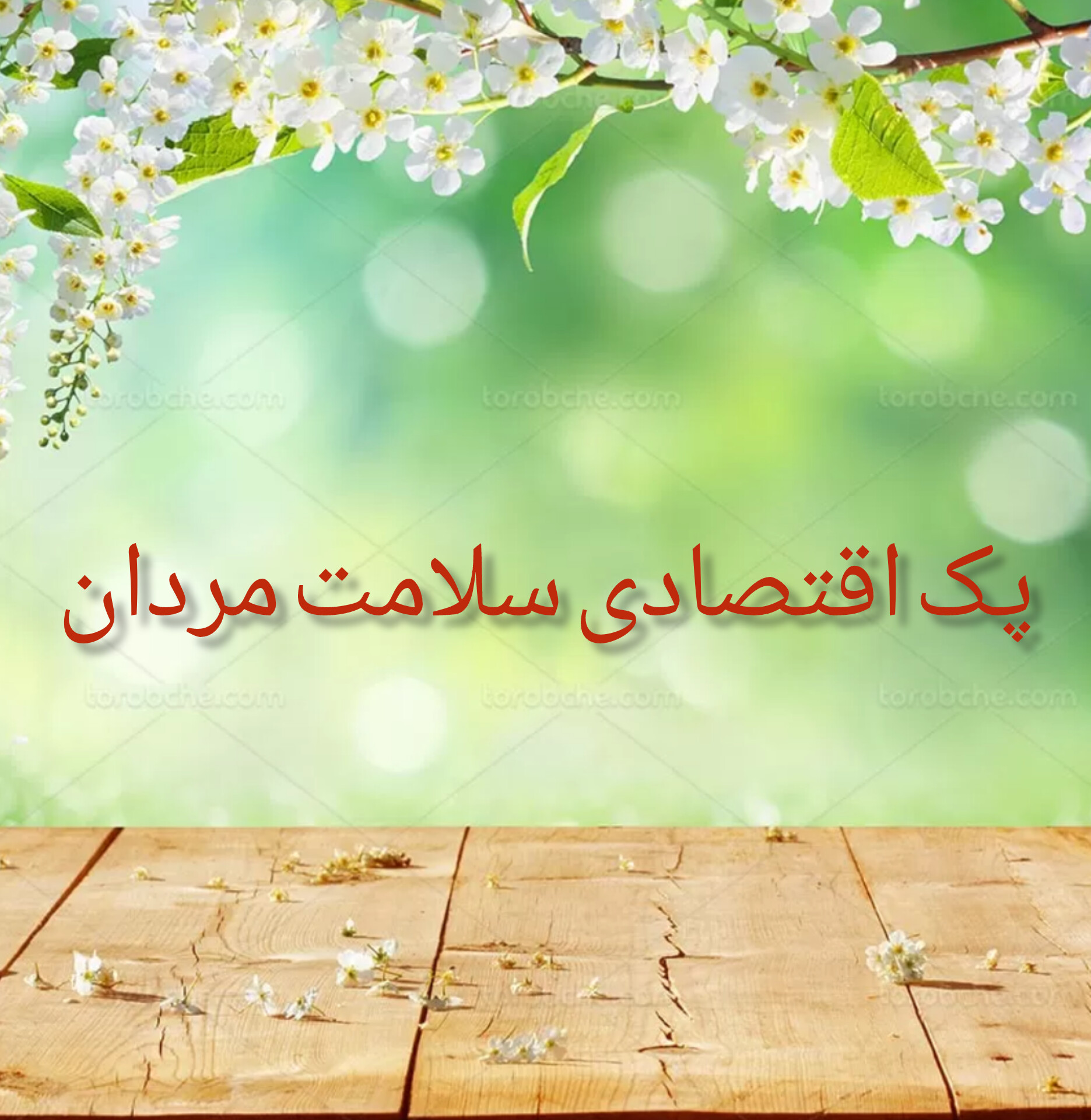 پک اقتصادی سلامت مردان